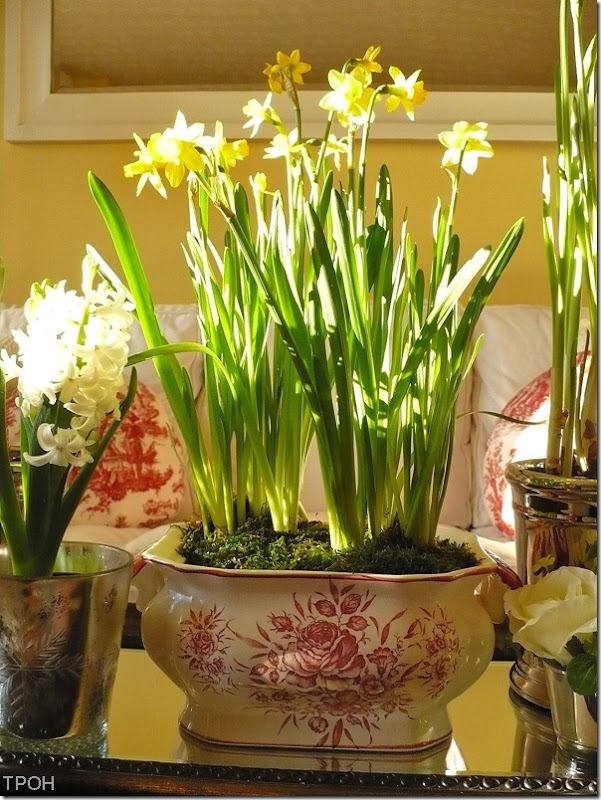 tureen tureen