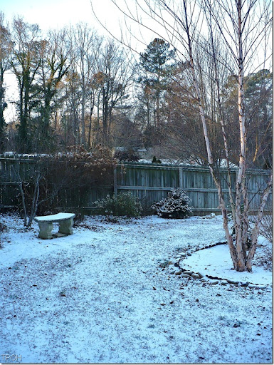 winter has come to georgia 