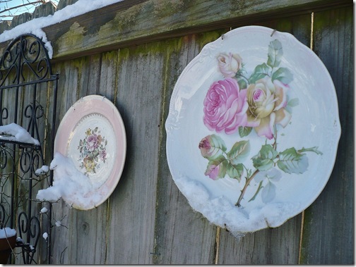 plates plates