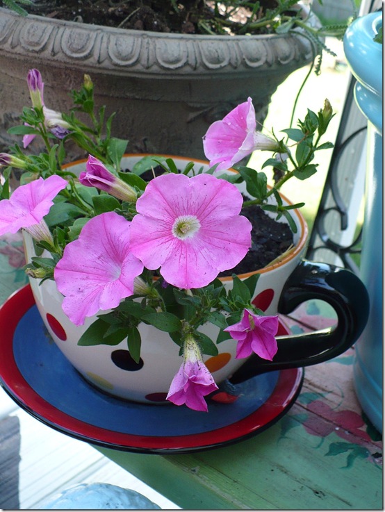 petunias petunias
