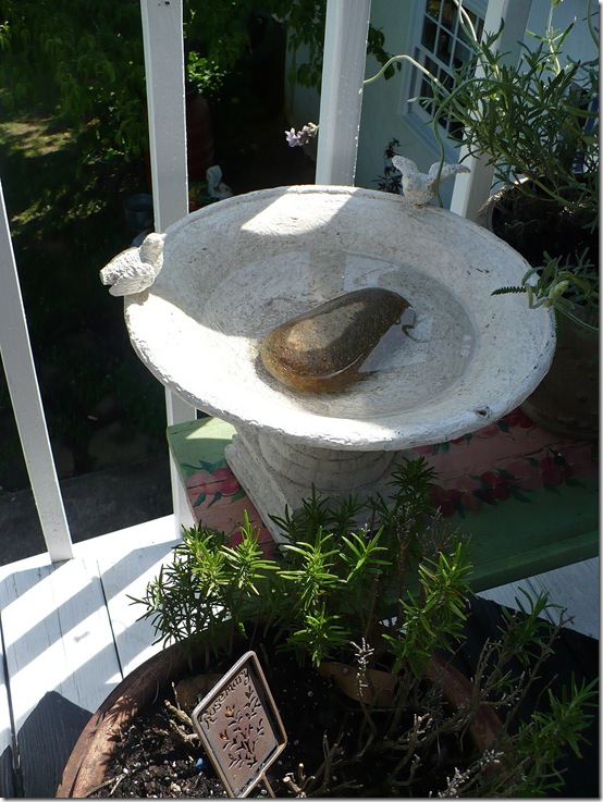 birdbath birdbath