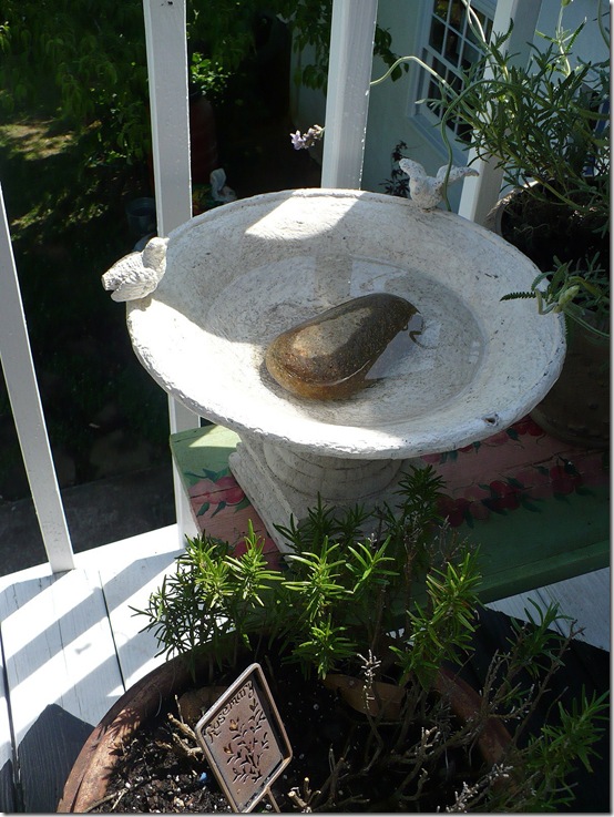 birdbath