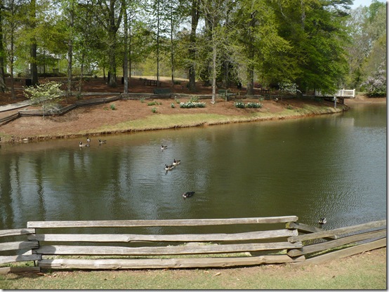 pond pond