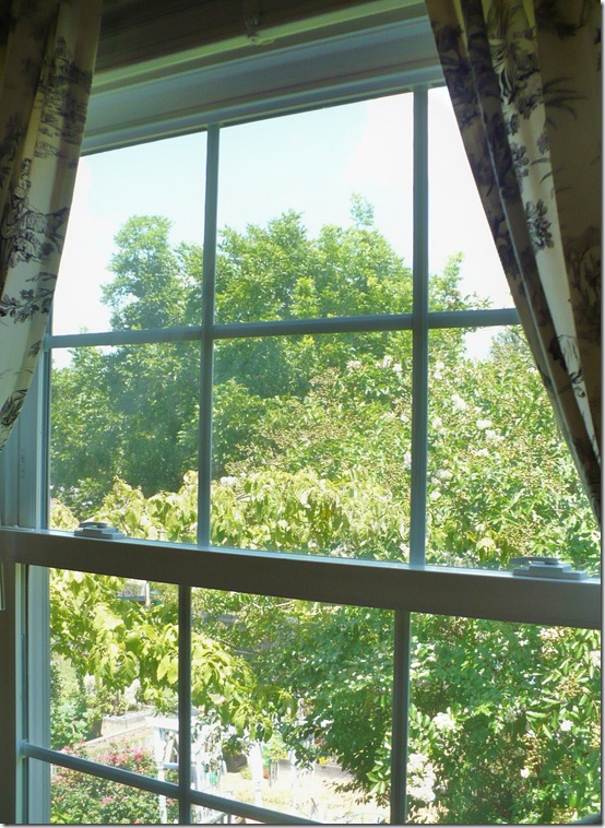 Window Window