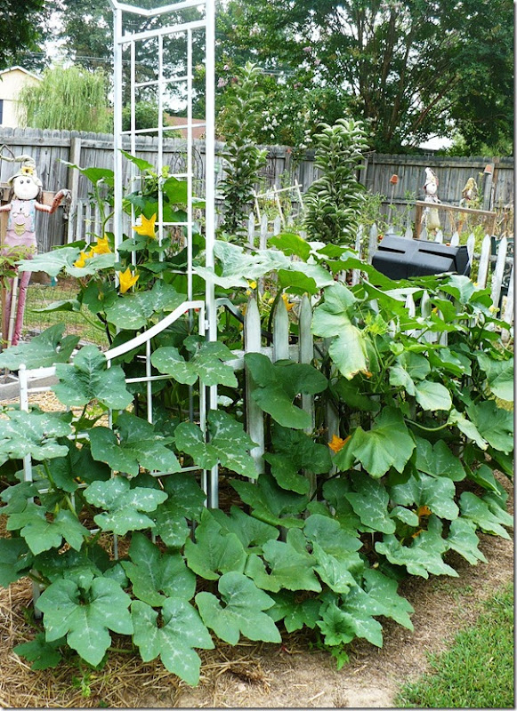 arbor arbor