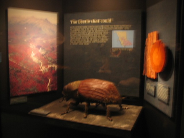 [IMG_51684.jpg]