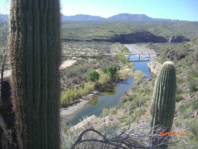 [CIMG00852.jpg]