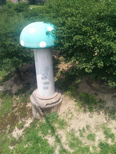 绿帽蘑菇