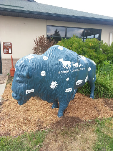 Animal Humane Society Buffalo 