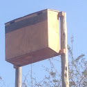 Bat box
