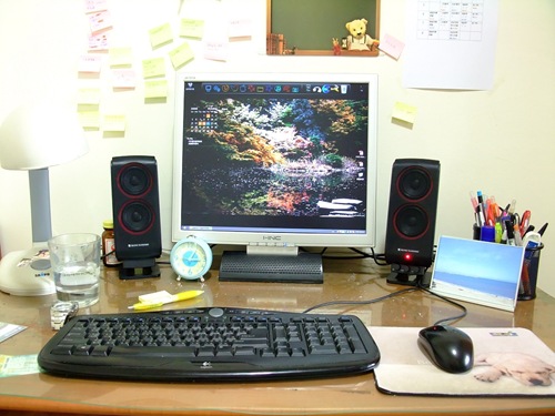[nEO_IMG_2008_10150043[3].jpg]