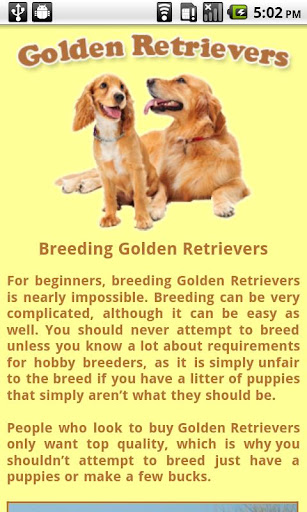 Golden Retriever Tips