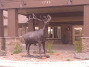 Canyon Creek Elk Statue