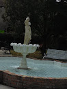 Greek Fountain