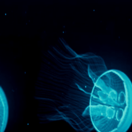 JellyFish  Live Wallpaper 個人化 App LOGO-APP開箱王