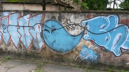 Grafite Baleia  Da Resistance 