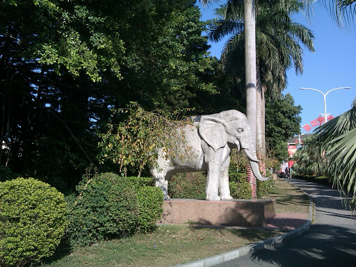 野生动物园门口大象