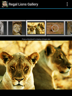 How to download Regal Lions Gallery Wallpapers 1.00 apk for laptop