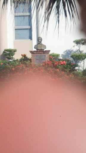 Busto Duarte - Ministerio De Cultura