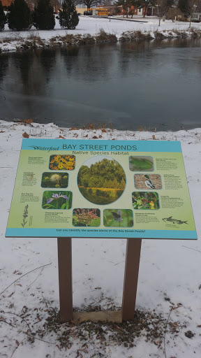 Bay Street Ponds