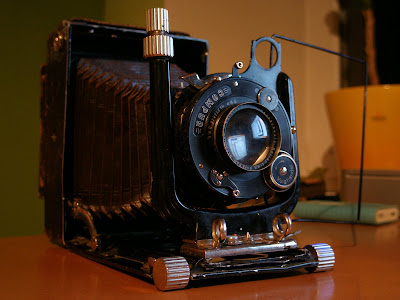 P4163882.JPG