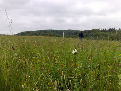 23062008061.jpg
