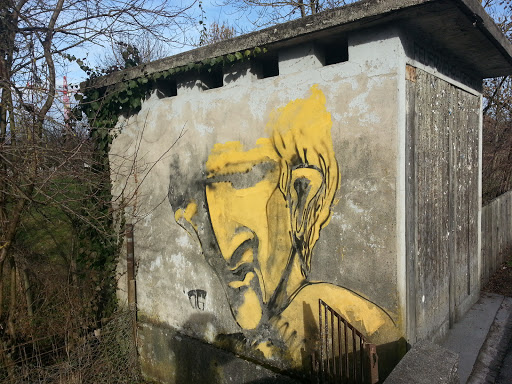 Face on the Walk