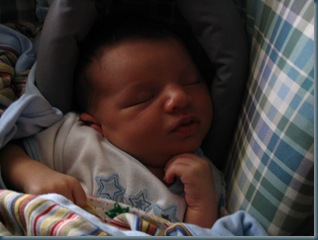 firist three weeks010