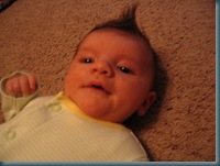 7-8 weeks030