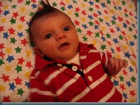 7-8 weeks026