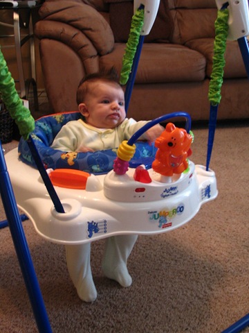 [Jumperoo 6-24007[4].jpg]