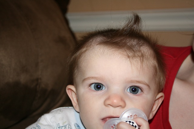 [Tyson 5 months 158[3].jpg]
