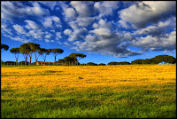 Campagna Romana Ponte di Nona. FOTO Luca Gentili http://www.flickr.com/photos/luka70