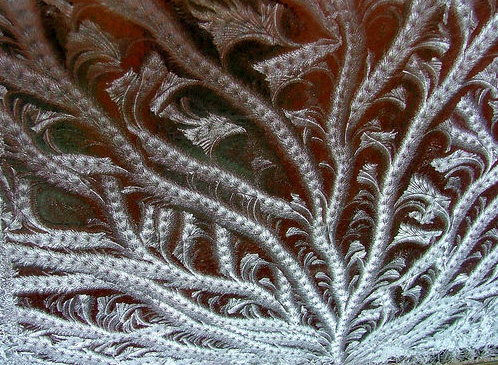 Window Frost
