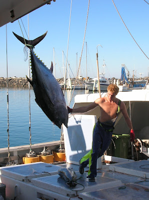 Pesca del Tonno