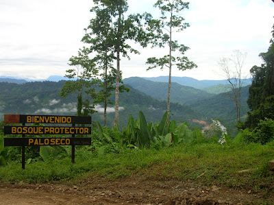 Bosque protector de Palo Seco, Reserva de la Biosfera La Amistad Bosque Protector de Palo Seco, área de amortiguamiento del Parque Internacional La Amistad (ambas áreas protegidas son Reserva de la Biósfera)