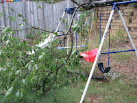 IMG_1557.JPG