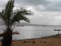 IMG_2139.JPG
