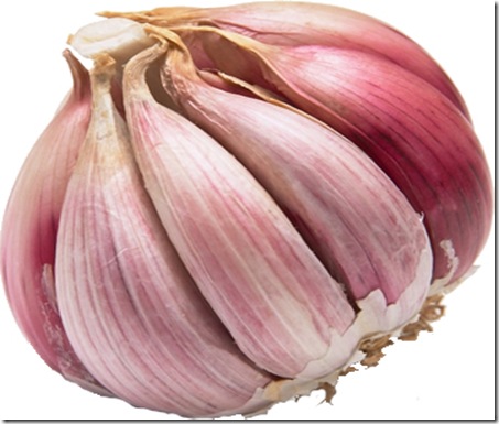 garlic