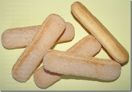 biscoitos de champanhe_santa nostalgia_02