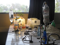 LuisCampino 008.jpg