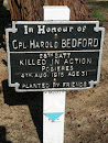 Corporal Harold Bedford