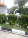 white cranes