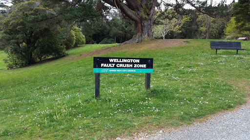 Wellington Fault Crush Zone