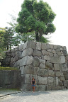the walls surrounding Nijo Castle
