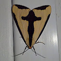 Clymene Moth