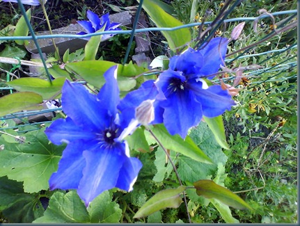 DSC01050