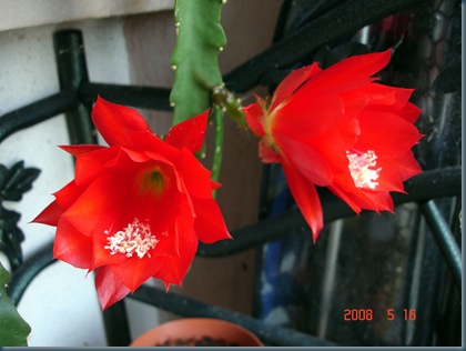 DSC00001