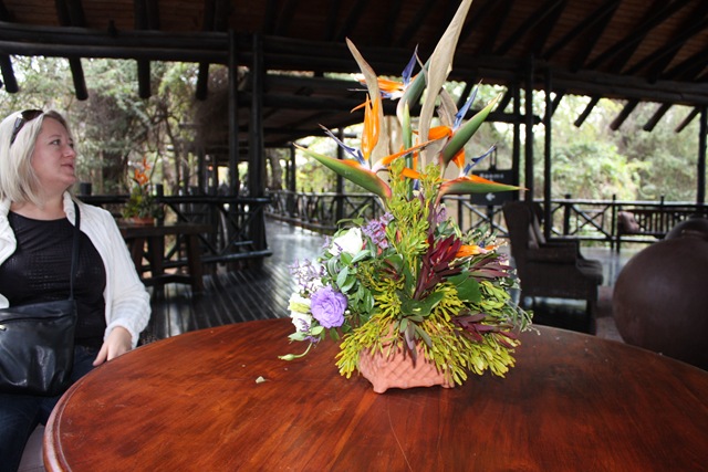 [South Africa. Kruger park, pretoria, cape town 446[7].jpg]