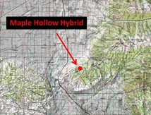 MHHybrid Location